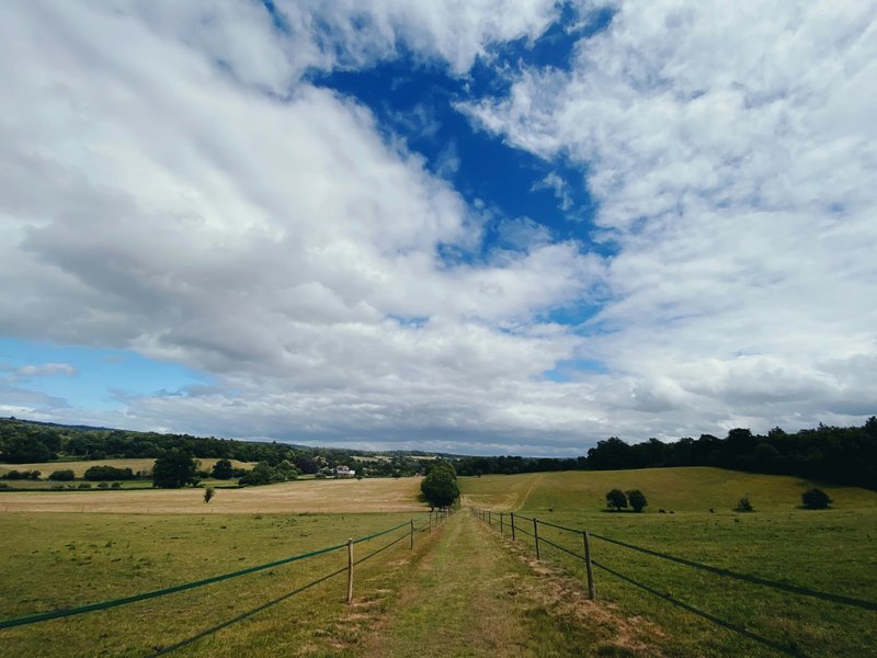 Surrey Hills